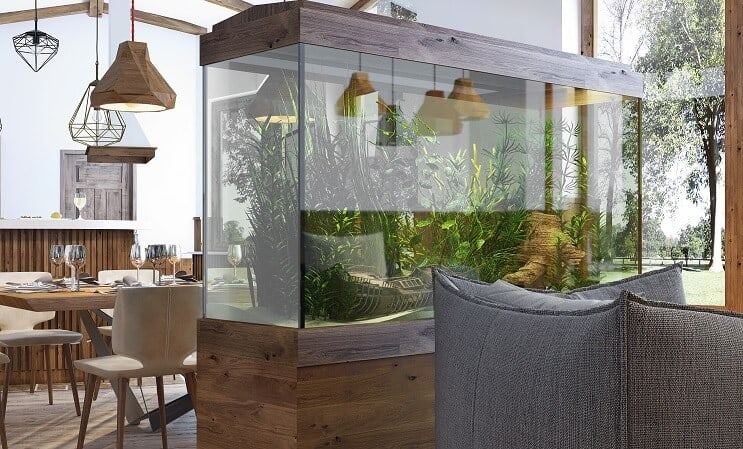 Acuario de 100 galones