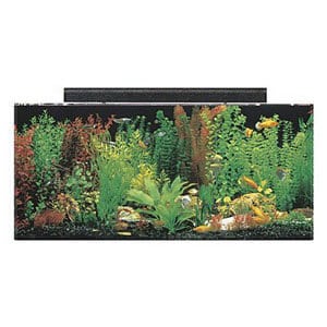 Conjunto combinado de acuario SeaClear