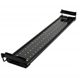 Luces extensibles para acuario Goldfish