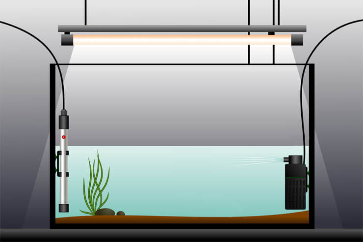 Calentador de acuario
