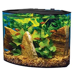 Acuario Tetra Crescent