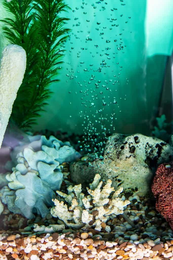 Bomba de aire de acuario