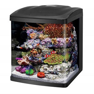 Acuario Cubo