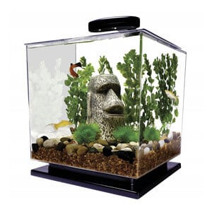 El acuario Tetra