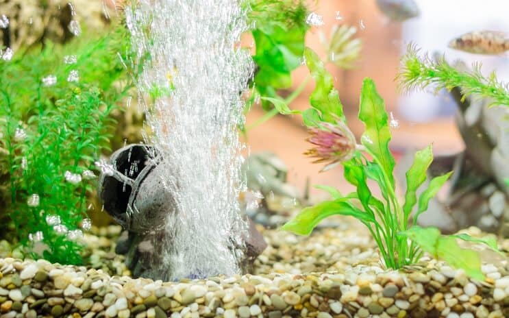 Decoración de acuario con piedra de aire