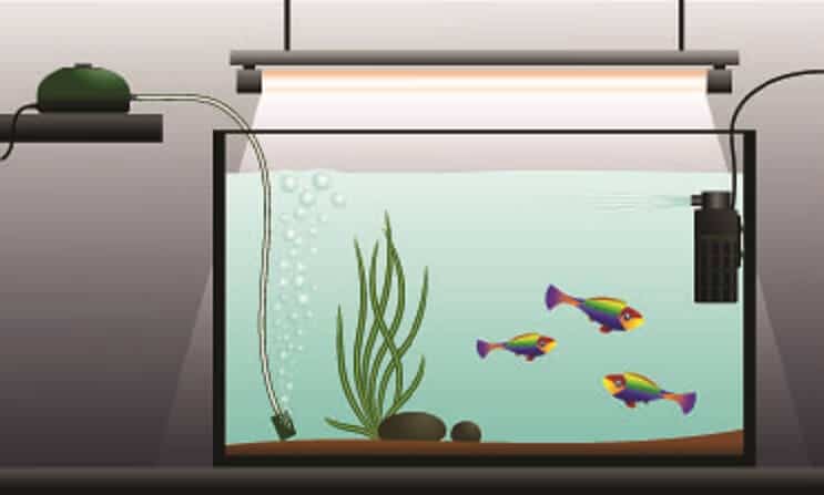 Configuración de la bomba de aire del acuario