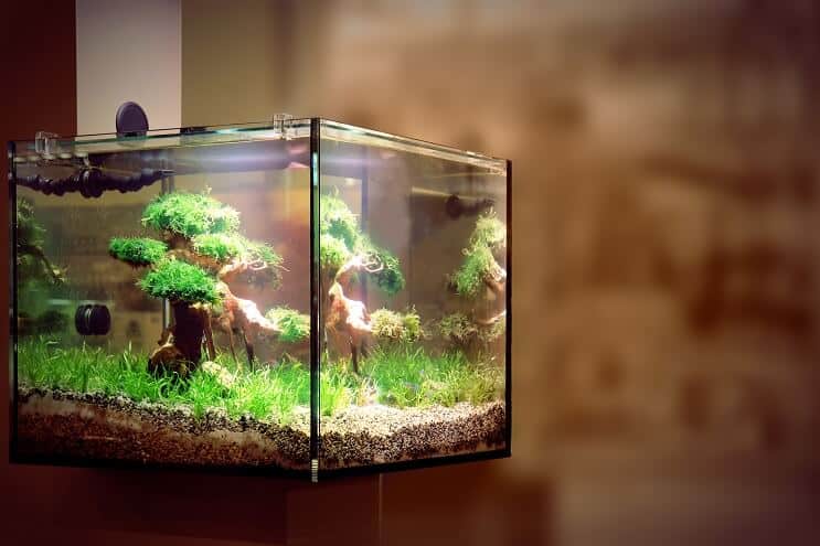Iluminación LED para acuarios
