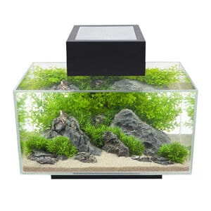 Tanque elegante de 6 galones