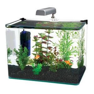 Acuario curvo Penn Plax