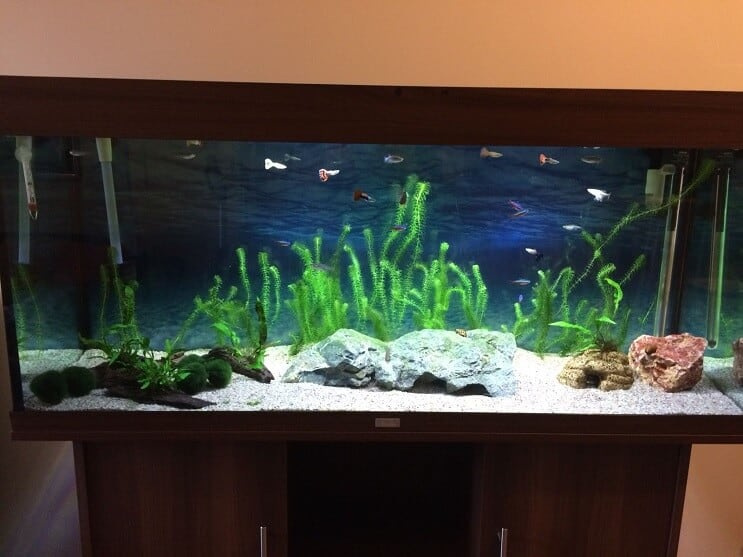 Tanque terminado
