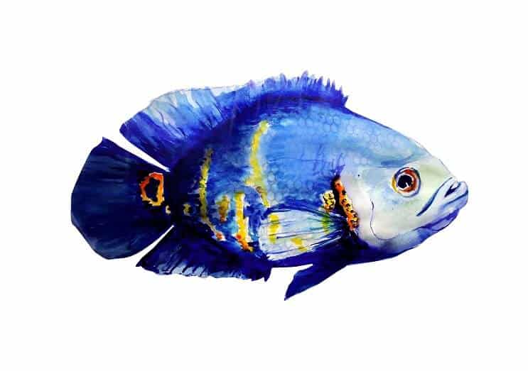 Pintura de un Oscar azul