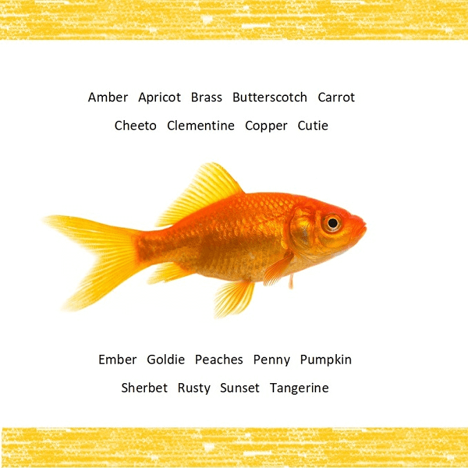 Nombres de pescado naranja
