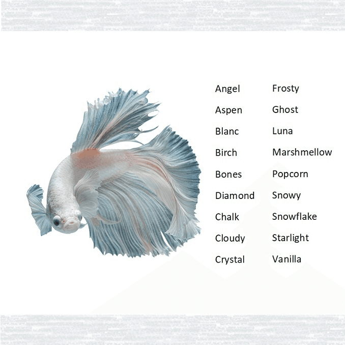 Nombres de pescado blanco
