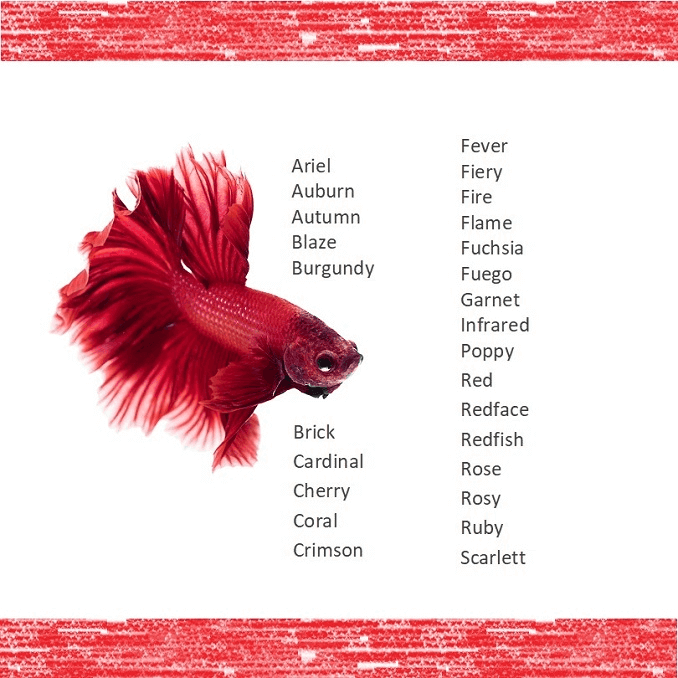 Nombres de peces rojos