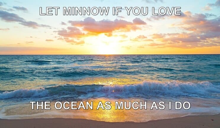 Dejar Minnow