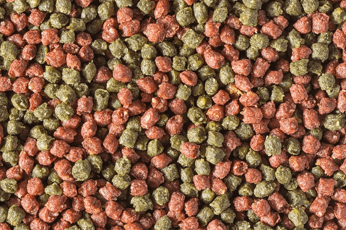 Pellets secos