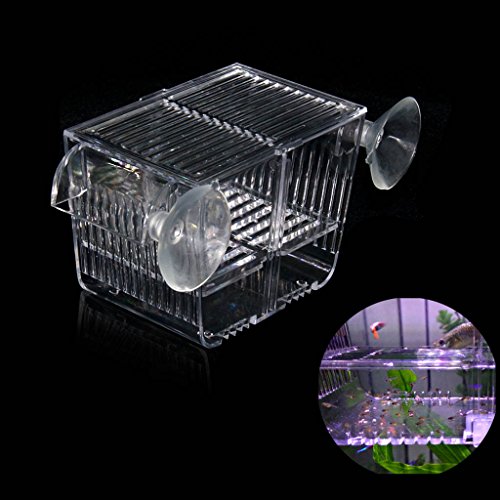 boxtech Caja de cría de incubadora para acuario, pecera, criadero, acrílico, blanco, divisor de aislamiento, cajas para incubar, accesorio, pequeños peces para bebés, camarones, pez payaso, guppy (5.2x2.7x2.9 '')