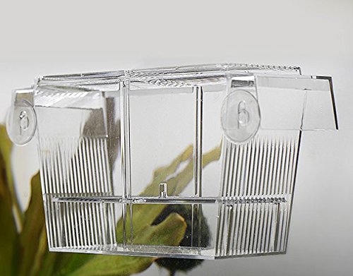 PETS ISLAND Cajas de cría de peces de acuario Caja de aislamiento de incubadora para incubar de guppies dobles (7,7 pulgadas)