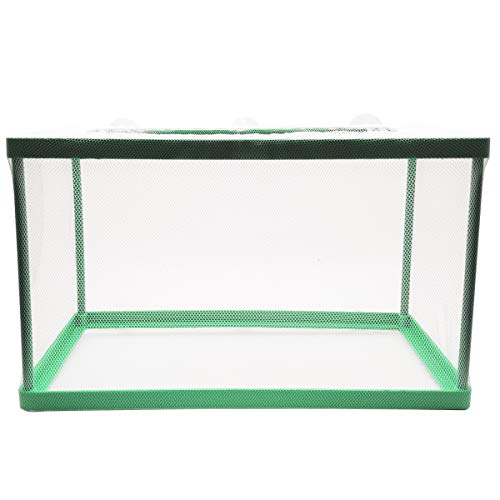 Caja de cría de peces de acuario, caja de aislamiento de peces, caja de incubación, incubadora de desove de peces juveniles, criadero de red de aislamiento de agua (verde)