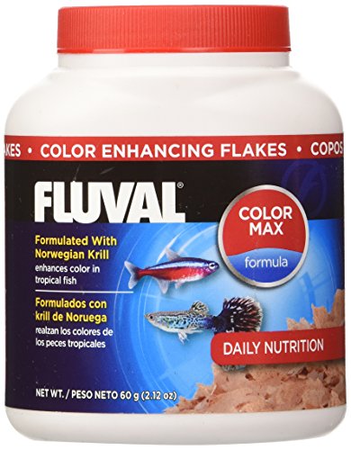 Alimento para peces en escamas para realzar el color Fluval, 60 g, 2.12 onzas