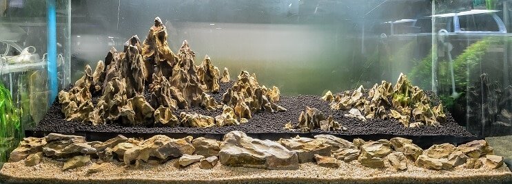 Paisaje acuático de Iwagumi
