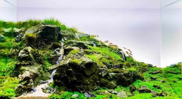 Paisaje acuático natural
