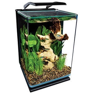 Pequeño acuario ideal para paludario de encimera